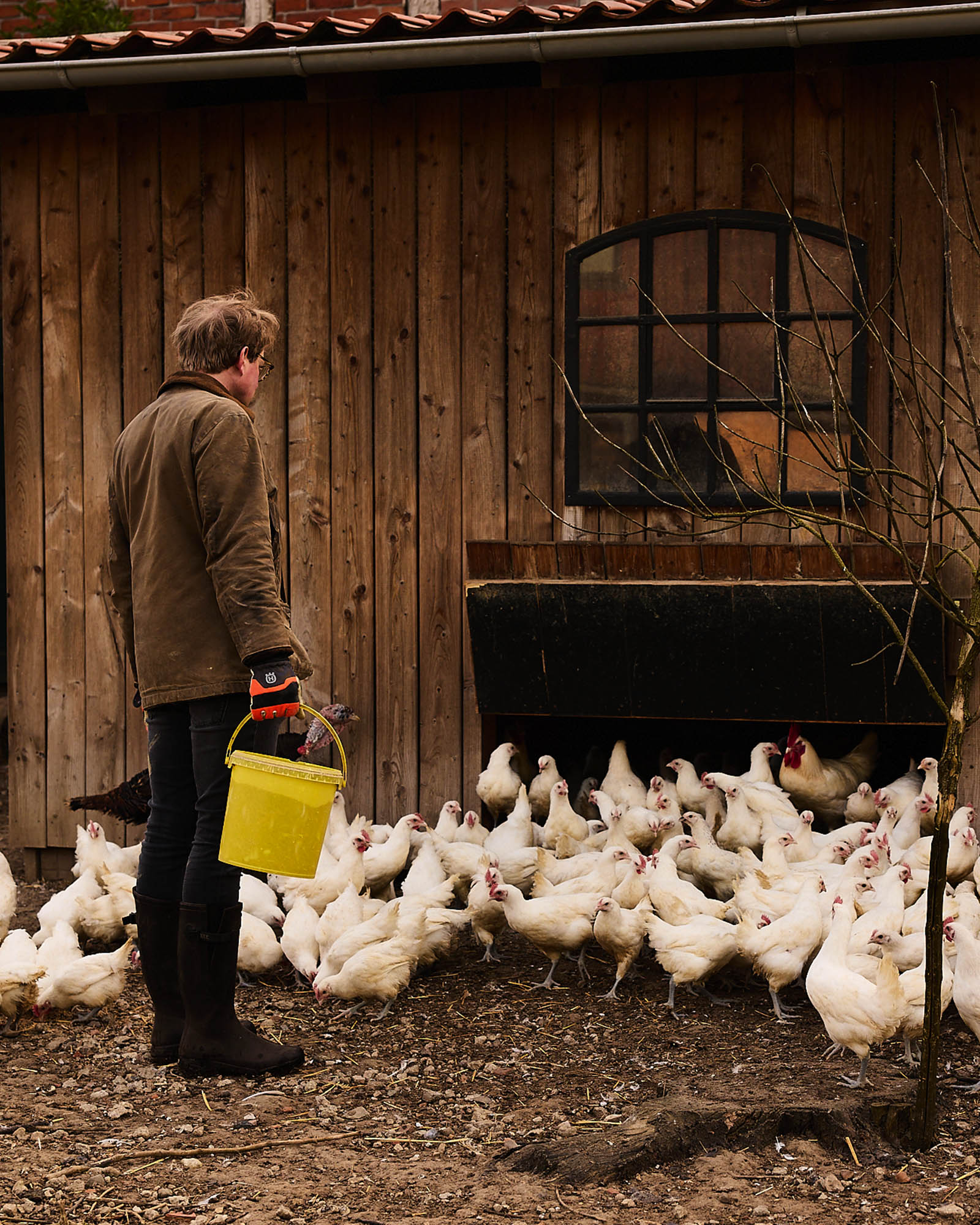 Lars Odefey mit seinen Hühnern vor dem Stall in der Lüneburger Heide